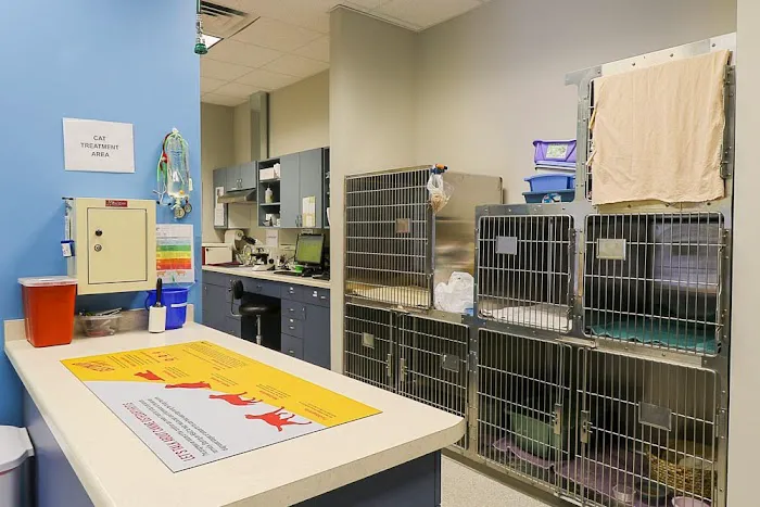 Four Lakes Veterinary Clinic 12