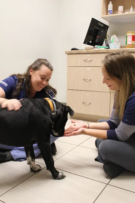Four Lakes Veterinary Clinic 12