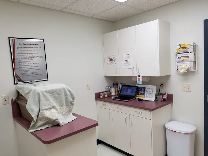 Spartan Animal Hospital 12