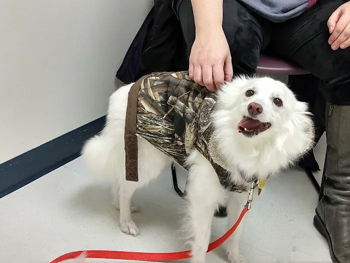 Spartan Animal Hospital 12