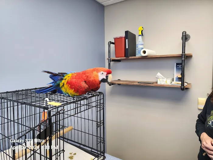 Spartan Animal Hospital 12