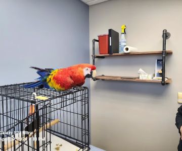 Spartan Animal Hospital