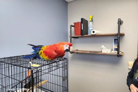 Spartan Animal Hospital