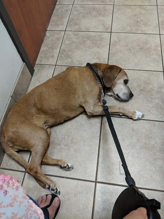 McFarland Animal Hospital 12
