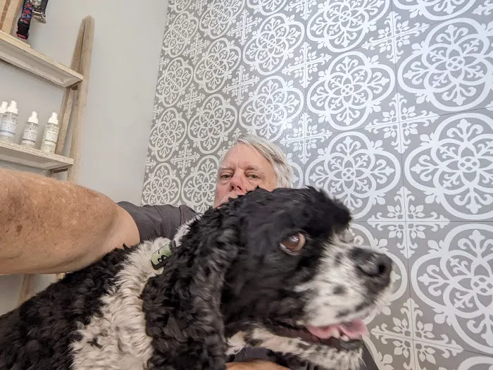 McFarland Animal Hospital 12