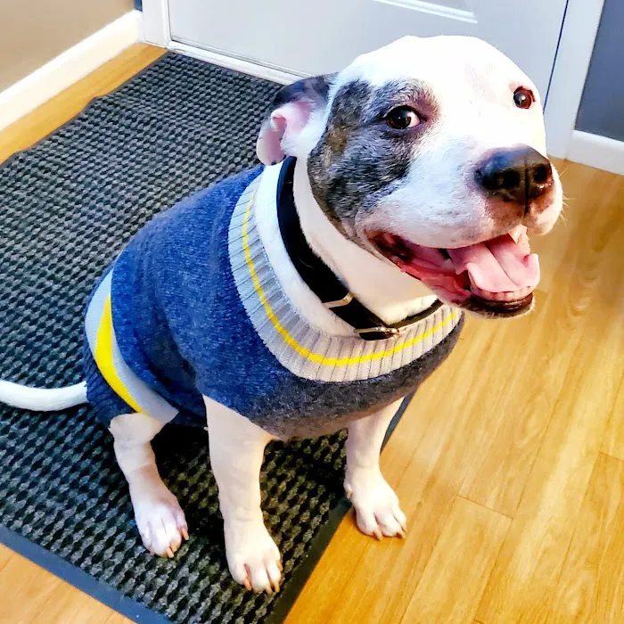 Eastside Veterinary Clinic 12