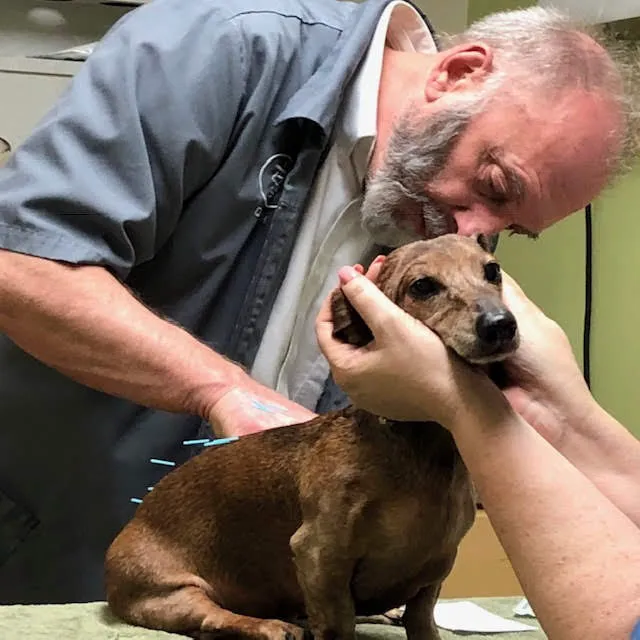 Eastside Veterinary Clinic 12