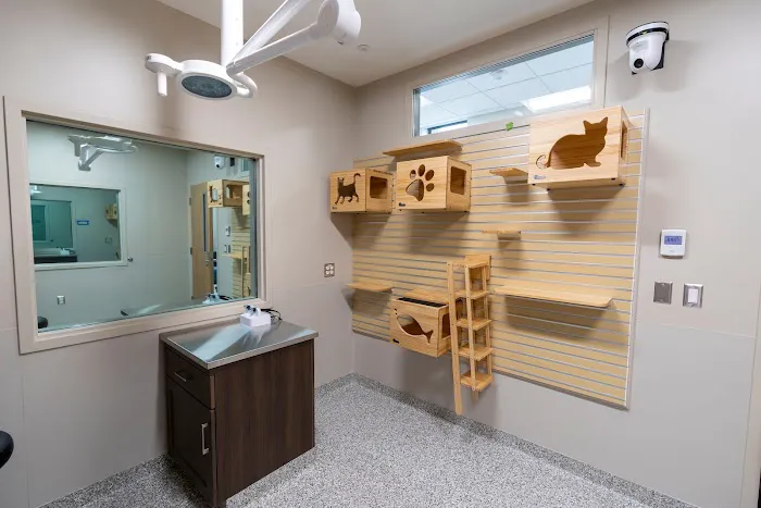 The Frank Stanton Veterinary Spectrum of Care Clinic 5
