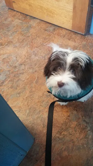 Ripley Animal Clinic 2