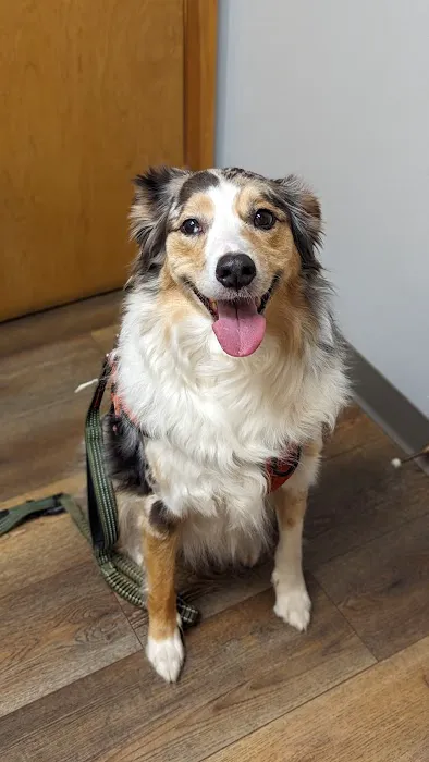 Ripley Animal Clinic 5