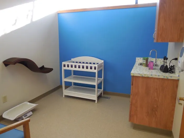 Purrfect Care Feline Medical Center 12