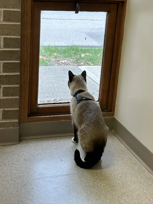 Purrfect Care Feline Medical Center 12