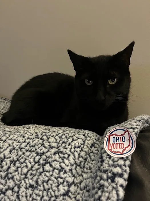 Purrfect Care Feline Medical Center 12