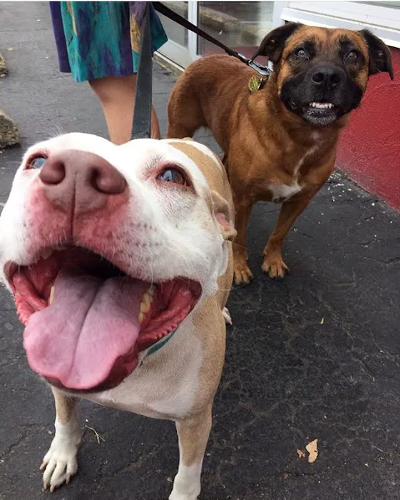 Fifth & Kenny Animal Hospital 12