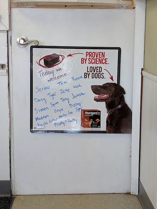 Fifth & Kenny Animal Hospital 12