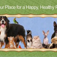 Village Gate Animal Hospital & Pet Resort ico