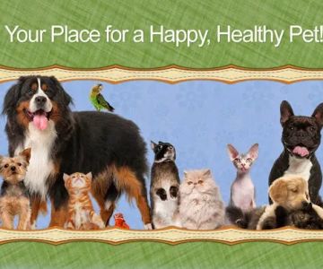 Village Gate Animal Hospital & Pet Resort