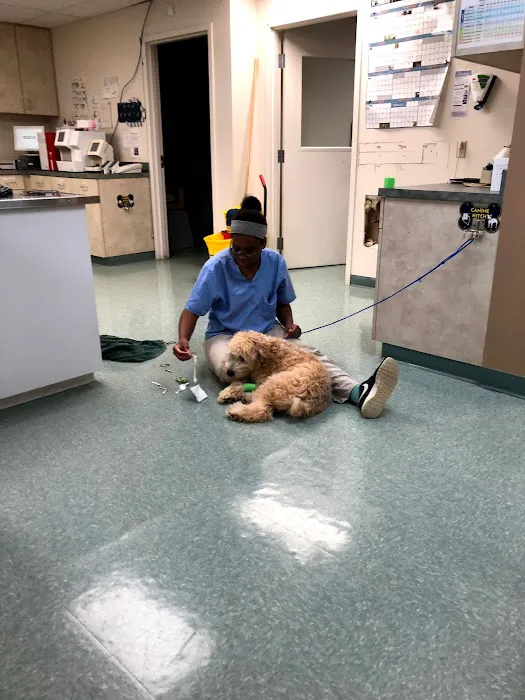 Village Gate Animal Hospital & Pet Resort 7