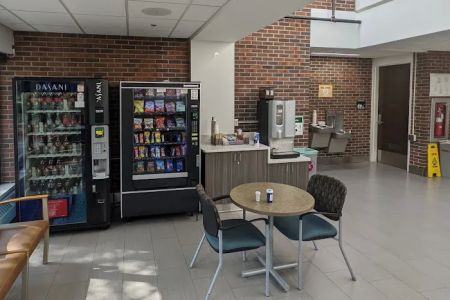 Lewis Hospital for Companion Animals