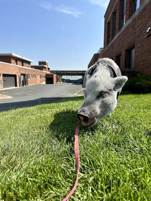 Veterinary Medical Center South 12