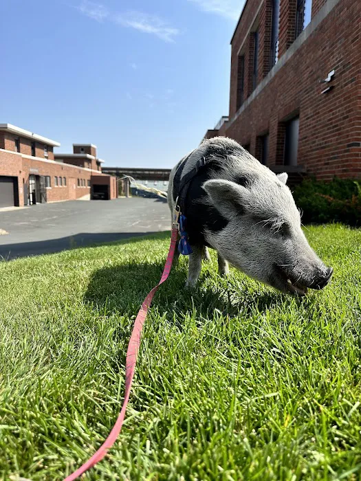 Veterinary Medical Center South 12