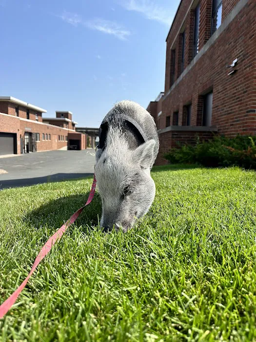 Veterinary Medical Center South 12