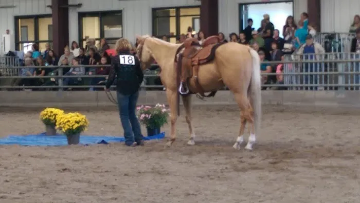 Leatherdale Equine Center 12
