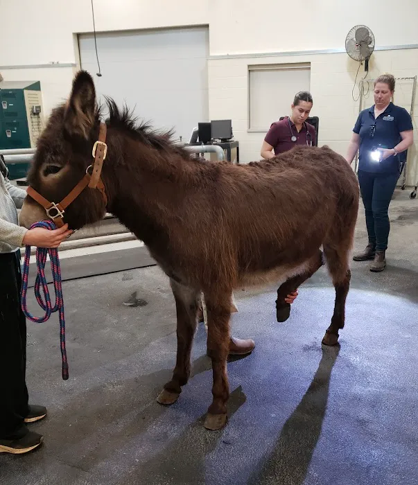 Leatherdale Equine Center 12
