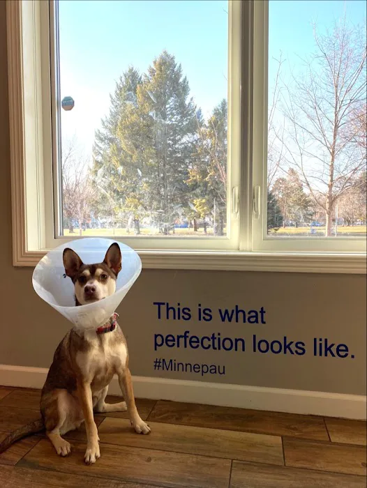 Minnepau Veterinary Clinic 7