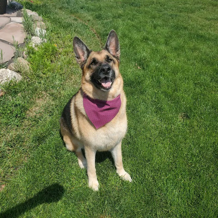 Dupont Veterinary Clinic 10