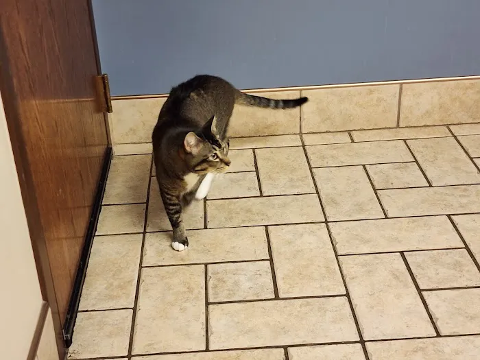 Dupont Veterinary Clinic 8