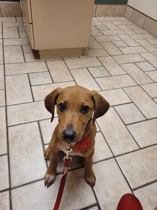 Dupont Veterinary Clinic 5