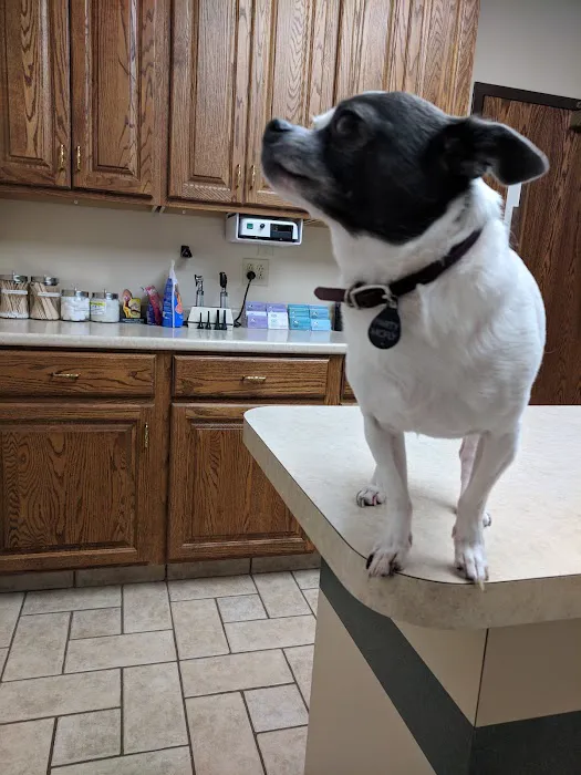 Dupont Veterinary Clinic 6