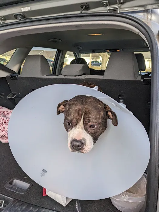 Dupont Veterinary Clinic 7
