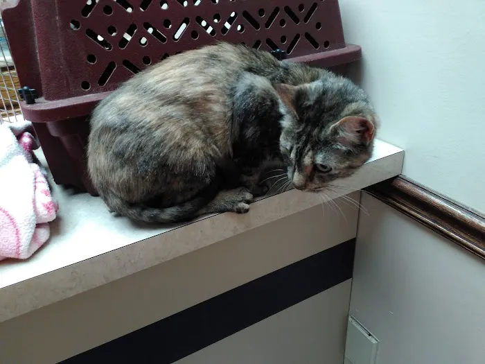 Dupont Veterinary Clinic 1