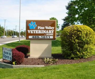 Pine Valley Veterinary Clinic