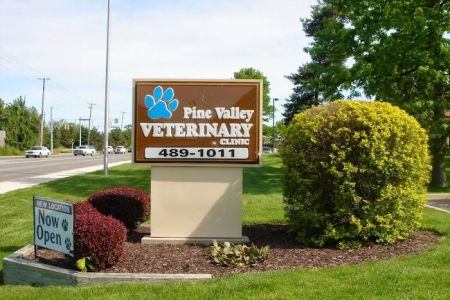 Pine Valley Veterinary Clinic