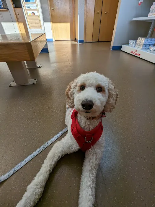 Pine Valley Veterinary Clinic 5
