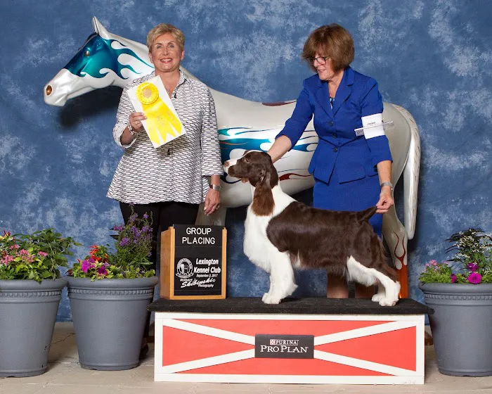 Pine Valley Veterinary Clinic 2