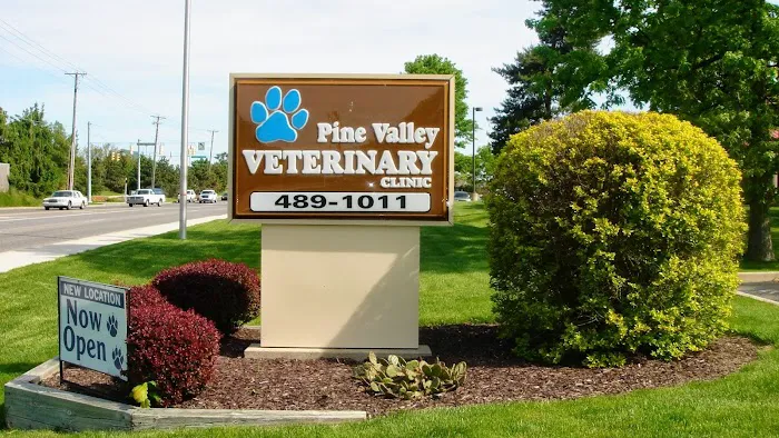 Pine Valley Veterinary Clinic 6