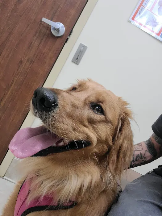 Fort Wayne Pet Hospital 9