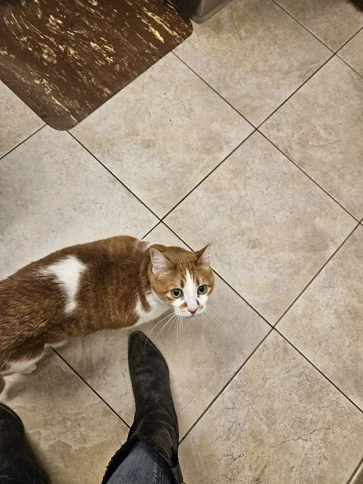 Fort Wayne Pet Hospital 8