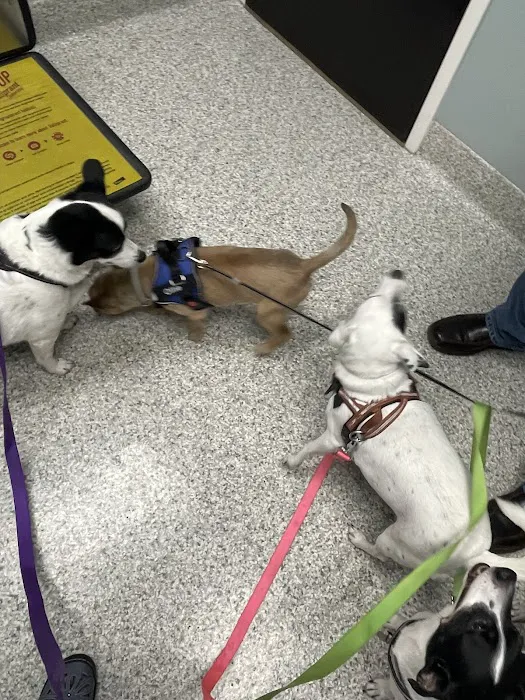 Cedar Creek Veterinary Clinic 12