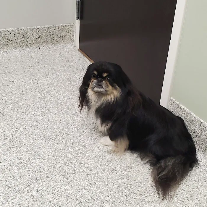 Cedar Creek Veterinary Clinic 12