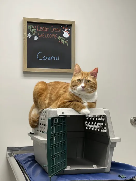 Cedar Creek Veterinary Clinic 12