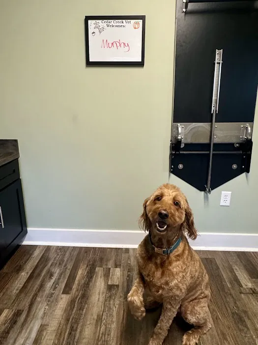 Cedar Creek Veterinary Clinic 12