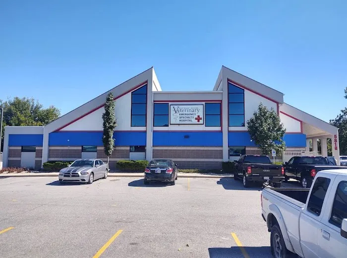 St Joe Center Veterinary Hospital 12