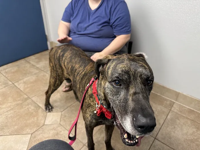 Northeast Indiana Veterinary Emergency & Specialty Hospital 12