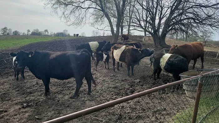 Yarde Veterinary Services (Food Animal Veterinarian) 12