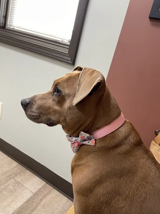 East State Veterinary Clinic 12